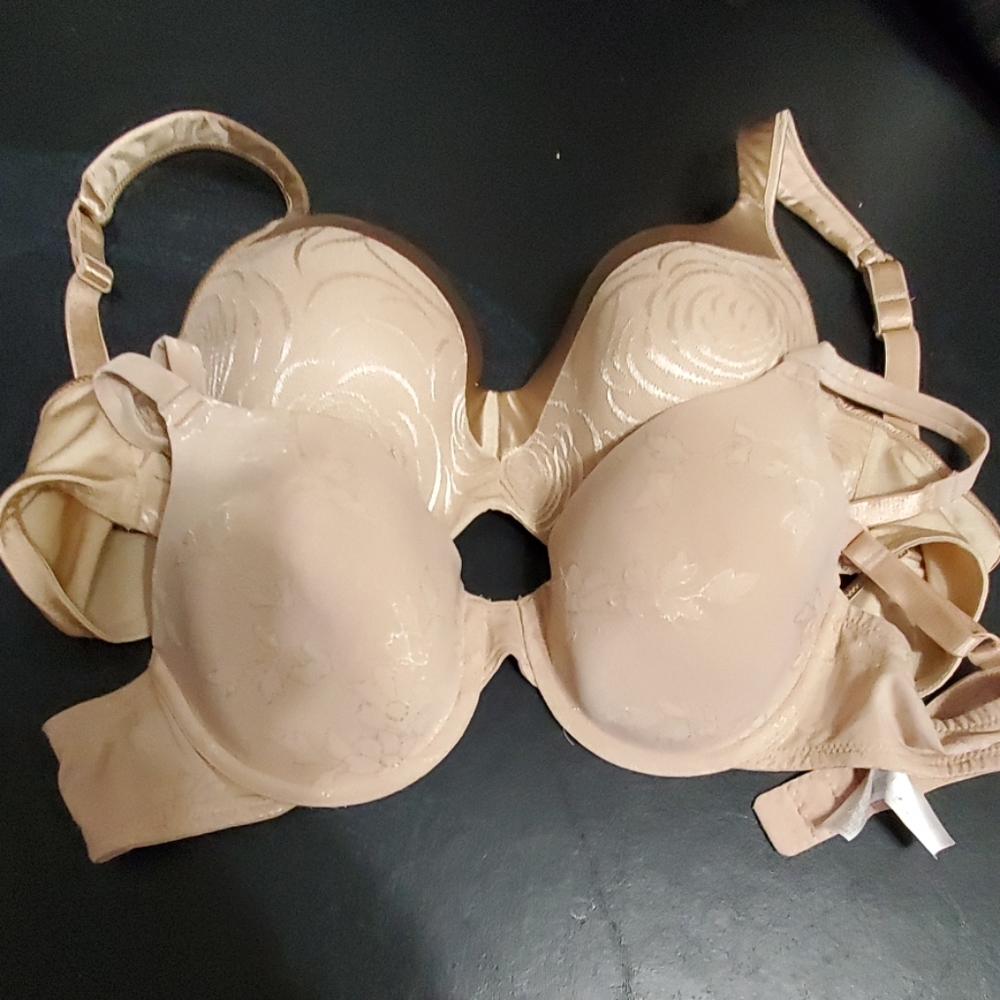 Pair of Nude Bras